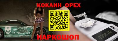 гашик Бийск