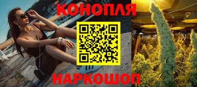 гашик Бийск