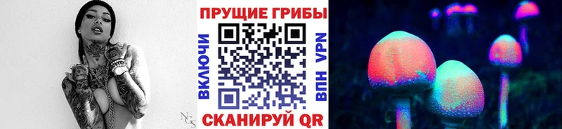Галлюциногенные грибы Cubensis  hydra зеркало  Всеволожск  где купить наркоту 