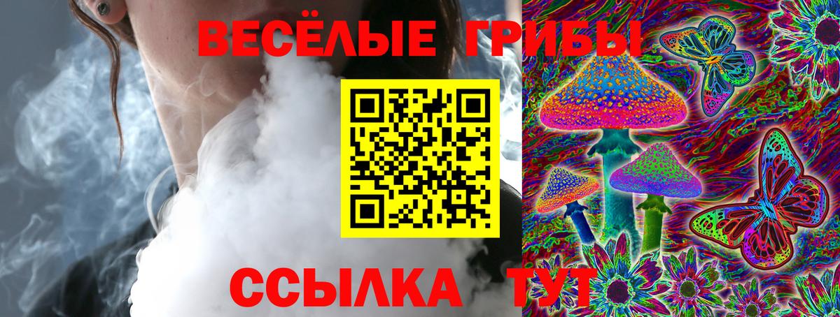 Всеволожск  Галлюциногенные грибы Psilocybine cubensis  Псилоцибиновые грибы Psilocybe  Вход с VPN 