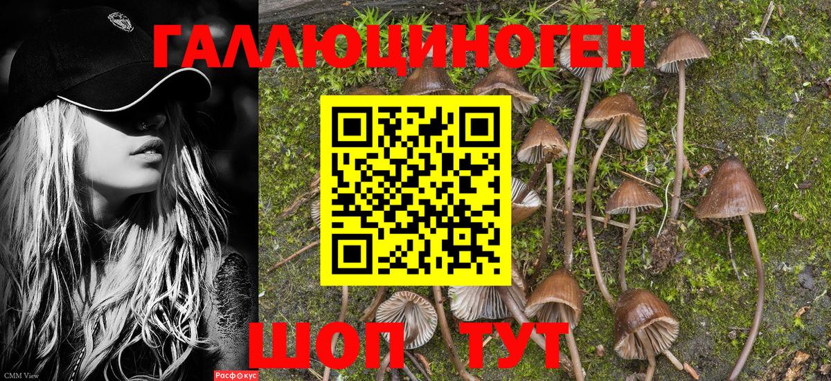Галлюциногенные грибы мицелий  Всеволожск 